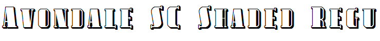 Avondale SC Shaded Regular
