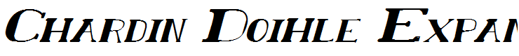 Chardin Doihle Expanded Italic Italic