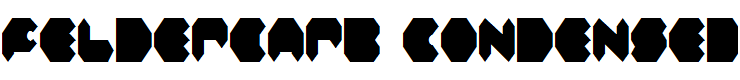 Feldercarb Condensed Condensed