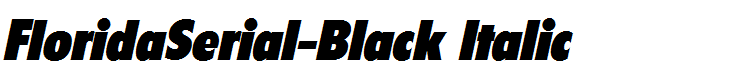 FloridaSerial-Black Italic
