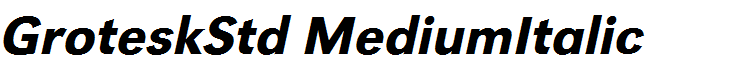 GroteskStd MediumItalic