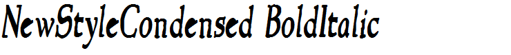 NewStyleCondensed BoldItalic