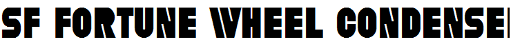 SF Fortune Wheel Condensed