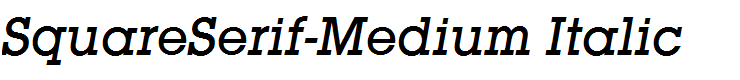 SquareSerif-Medium Italic